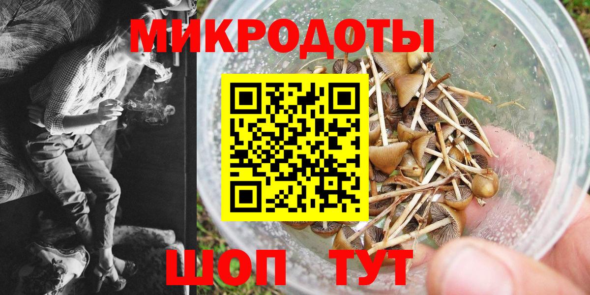 Галлюциногенные грибы Psilocybe Дагестанские Огни