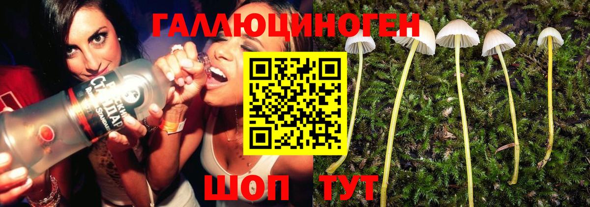 Псилоцибиновые грибы GOLDEN TEACHER  Псилоцибиновые грибы мухоморы  Дагестанские Огни  Вход с VPN 